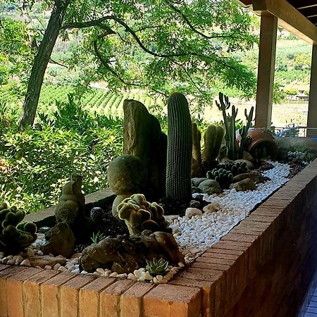 B&B Land & Sea Campofilone Dış mekan fotoğraf