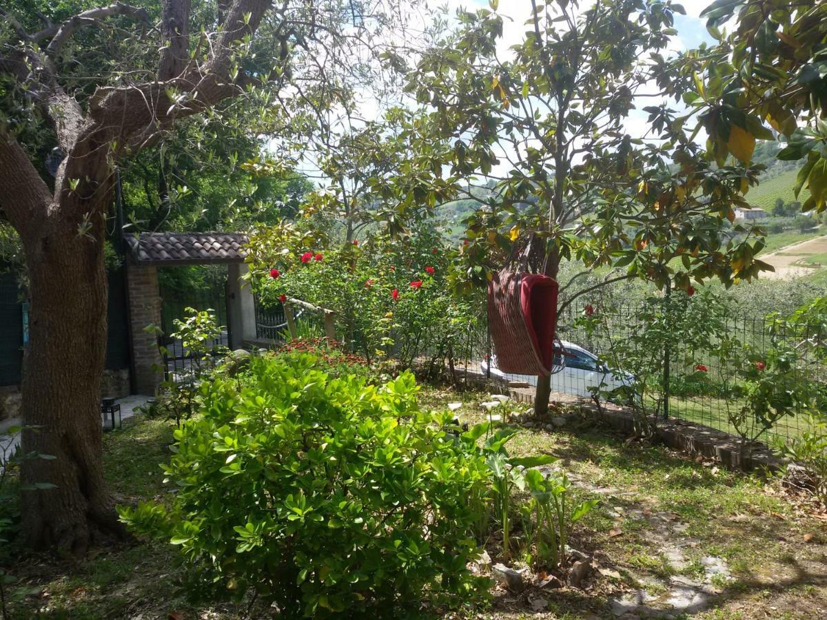B&B Land & Sea Campofilone Dış mekan fotoğraf