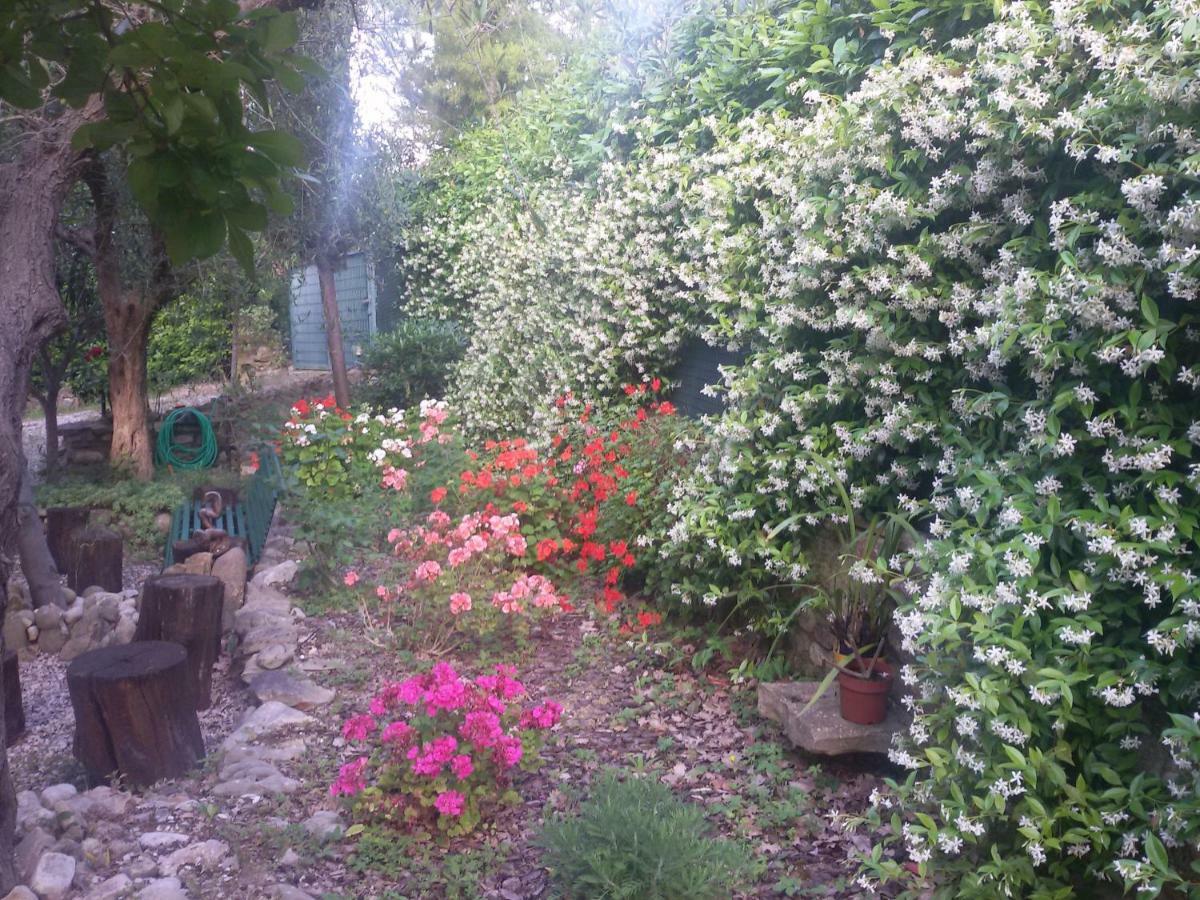 B&B Land & Sea Campofilone Dış mekan fotoğraf